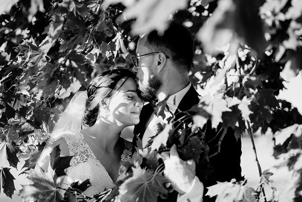 sesja plenerowa w lesie fotograf na ślub